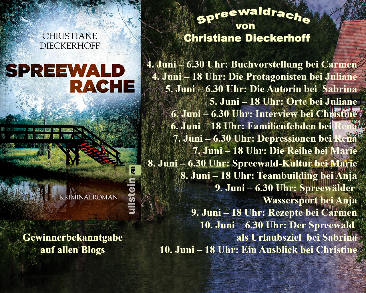 (Blogtour) Spreewaldrache – Depressionen Banner für Blogtour Spreewaldrache